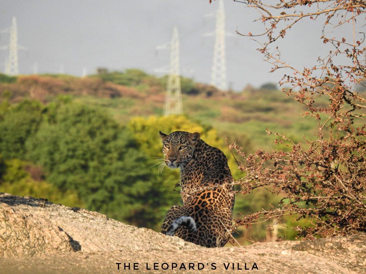 Jawai Leopard Villa Bijapur (Rajasthan) Exterior foto