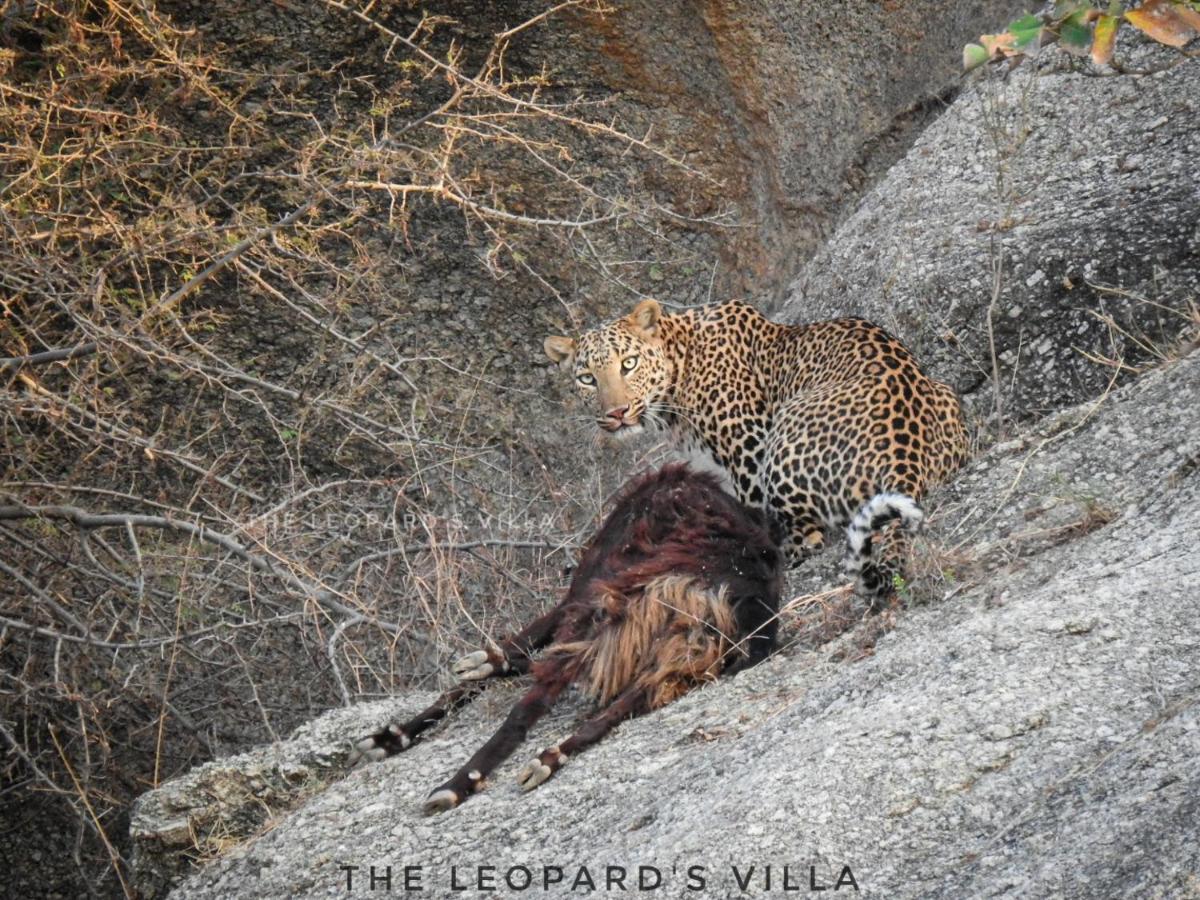 Jawai Leopard Villa Bijapur (Rajasthan) Exterior foto