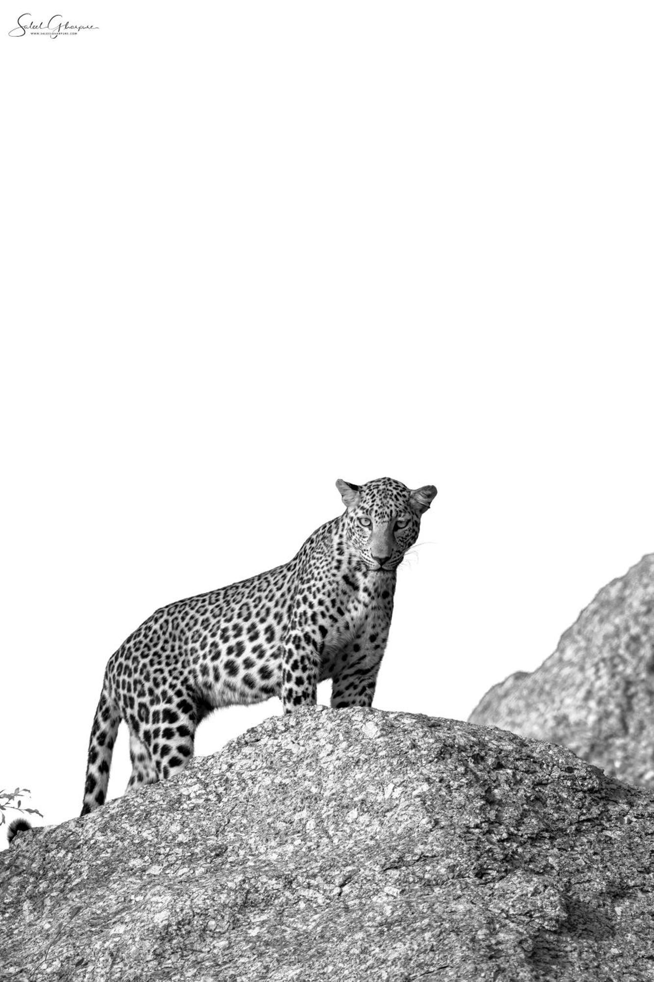 Jawai Leopard Villa Bijapur (Rajasthan) Exterior foto