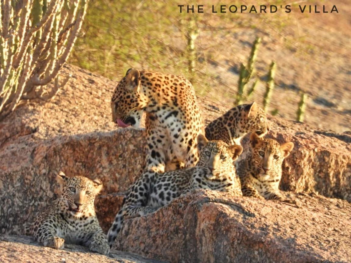 Jawai Leopard Villa Bijapur (Rajasthan) Exterior foto